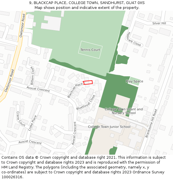 9, BLACKCAP PLACE, COLLEGE TOWN, SANDHURST, GU47 0XS: Location map and indicative extent of plot