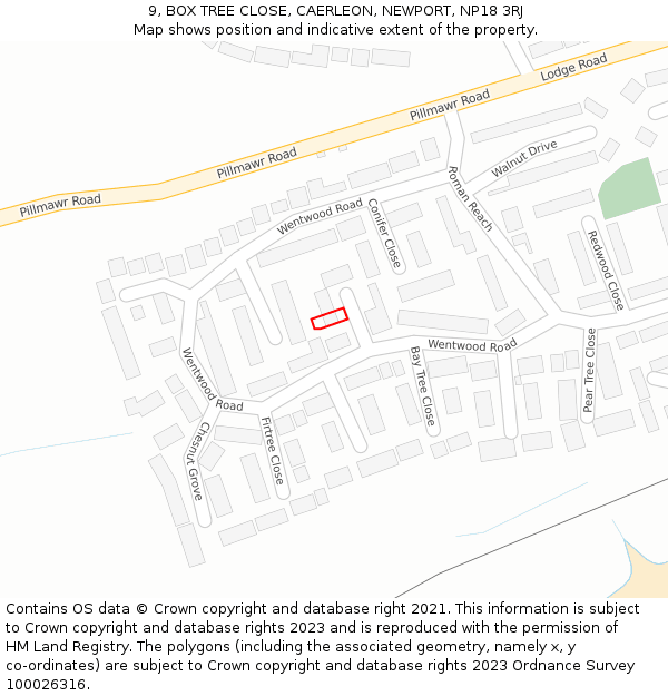 9, BOX TREE CLOSE, CAERLEON, NEWPORT, NP18 3RJ: Location map and indicative extent of plot