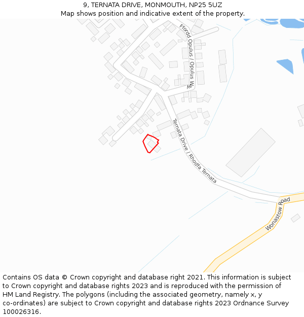 9, TERNATA DRIVE, MONMOUTH, NP25 5UZ: Location map and indicative extent of plot