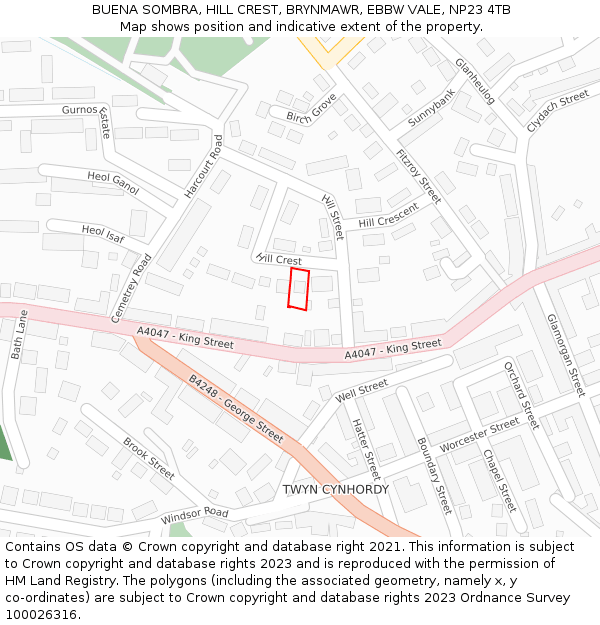 BUENA SOMBRA, HILL CREST, BRYNMAWR, EBBW VALE, NP23 4TB: Location map and indicative extent of plot