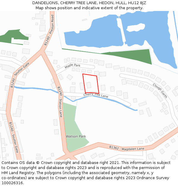 DANDELIONS, CHERRY TREE LANE, HEDON, HULL, HU12 8JZ: Location map and indicative extent of plot