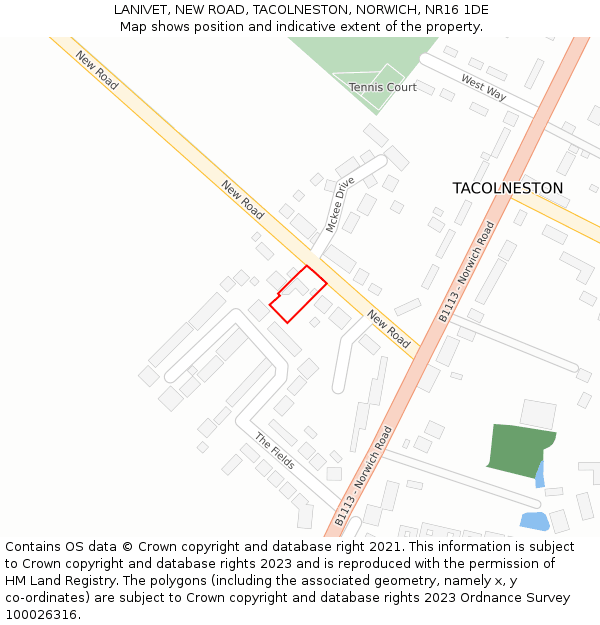 LANIVET, NEW ROAD, TACOLNESTON, NORWICH, NR16 1DE: Location map and indicative extent of plot