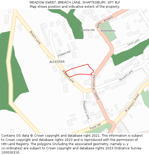 MEADOW SWEET, BREACH LANE, SHAFTESBURY, SP7 8LF: Location map and indicative extent of plot