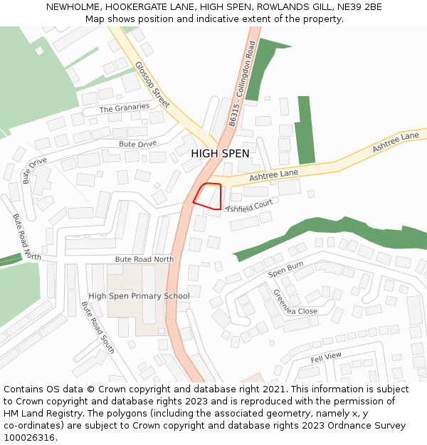 NEWHOLME, HOOKERGATE LANE, HIGH SPEN, ROWLANDS GILL, NE39 2BE: Location map and indicative extent of plot