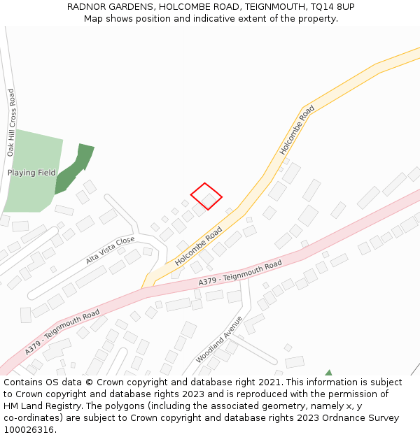 RADNOR GARDENS, HOLCOMBE ROAD, TEIGNMOUTH, TQ14 8UP: Location map and indicative extent of plot