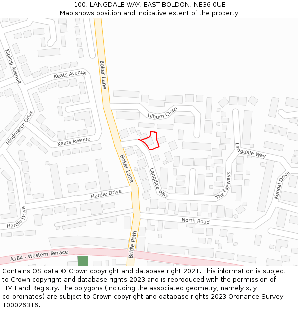 100, LANGDALE WAY, EAST BOLDON, NE36 0UE: Location map and indicative extent of plot