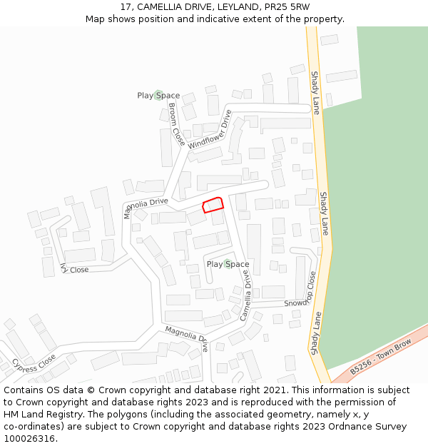 17, CAMELLIA DRIVE, LEYLAND, PR25 5RW: Location map and indicative extent of plot