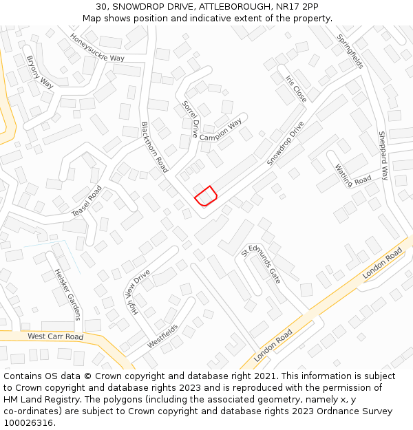 30, SNOWDROP DRIVE, ATTLEBOROUGH, NR17 2PP: Location map and indicative extent of plot