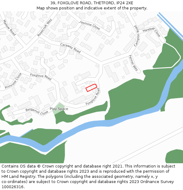 39, FOXGLOVE ROAD, THETFORD, IP24 2XE: Location map and indicative extent of plot