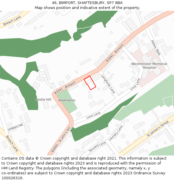 46, BIMPORT, SHAFTESBURY, SP7 8BA: Location map and indicative extent of plot