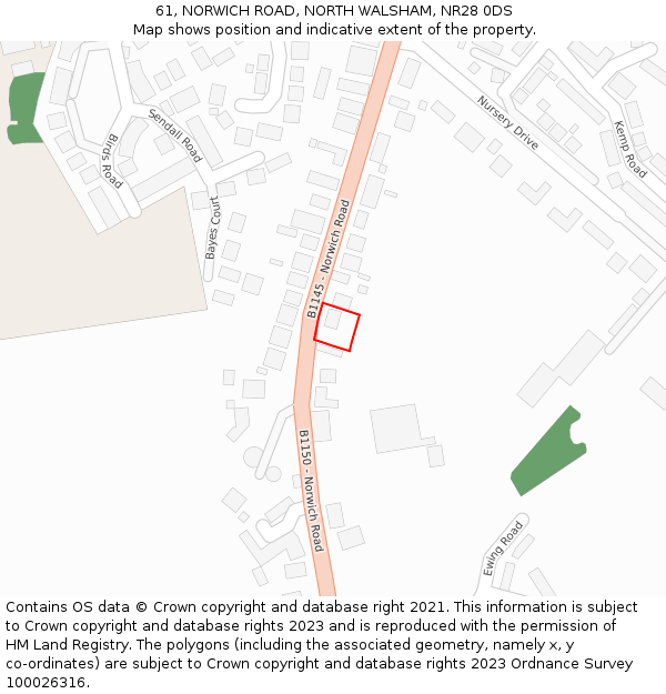 61, NORWICH ROAD, NORTH WALSHAM, NR28 0DS: Location map and indicative extent of plot