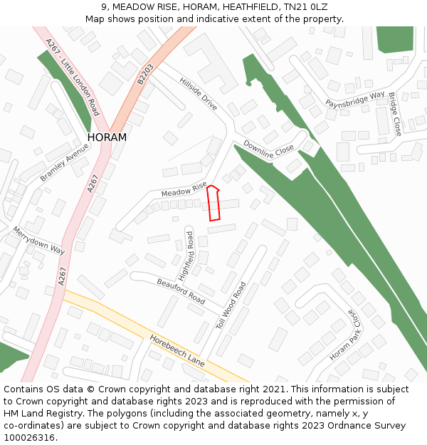 9, MEADOW RISE, HORAM, HEATHFIELD, TN21 0LZ: Location map and indicative extent of plot