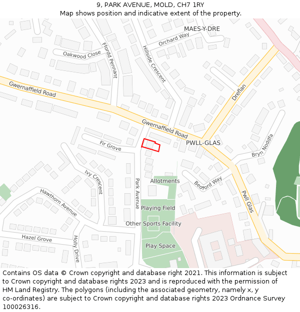 9, PARK AVENUE, MOLD, CH7 1RY: Location map and indicative extent of plot