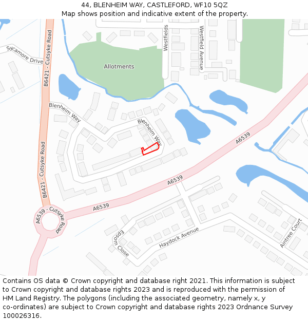 44, BLENHEIM WAY, CASTLEFORD, WF10 5QZ: Location map and indicative extent of plot