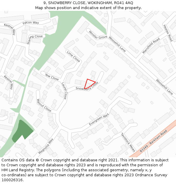 9, SNOWBERRY CLOSE, WOKINGHAM, RG41 4AQ: Location map and indicative extent of plot