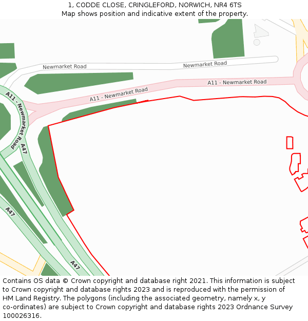 1, CODDE CLOSE, CRINGLEFORD, NORWICH, NR4 6TS: Location map and indicative extent of plot