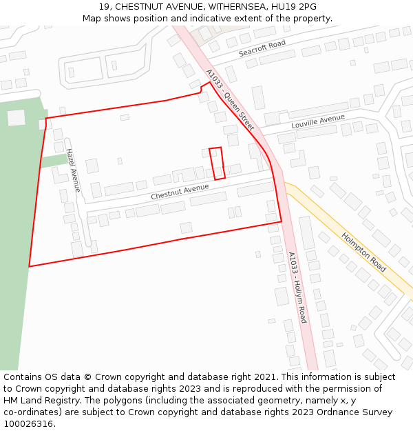 19, CHESTNUT AVENUE, WITHERNSEA, HU19 2PG: Location map and indicative extent of plot