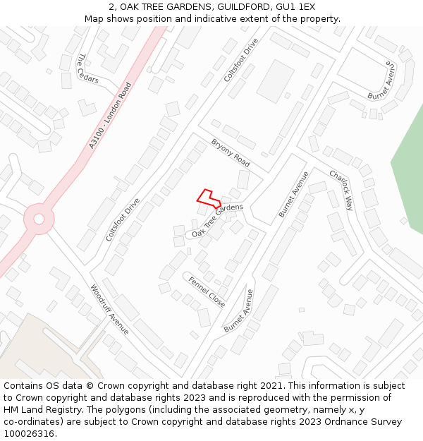 2, OAK TREE GARDENS, GUILDFORD, GU1 1EX: Location map and indicative extent of plot