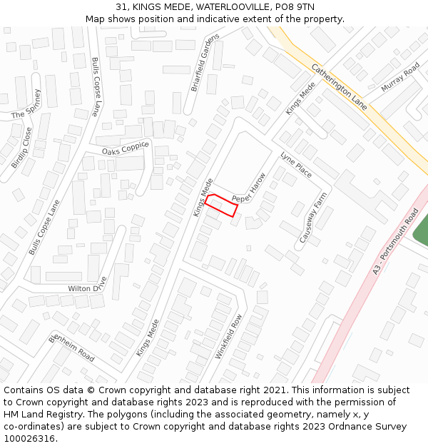 31, KINGS MEDE, WATERLOOVILLE, PO8 9TN: Location map and indicative extent of plot