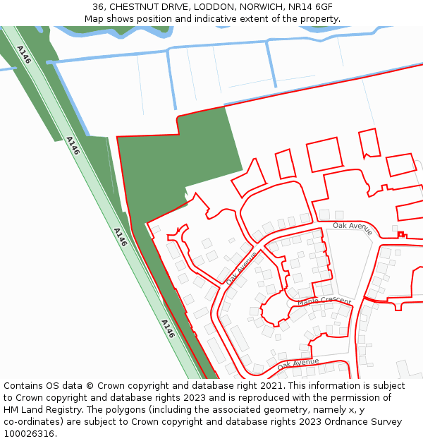 36, CHESTNUT DRIVE, LODDON, NORWICH, NR14 6GF: Location map and indicative extent of plot