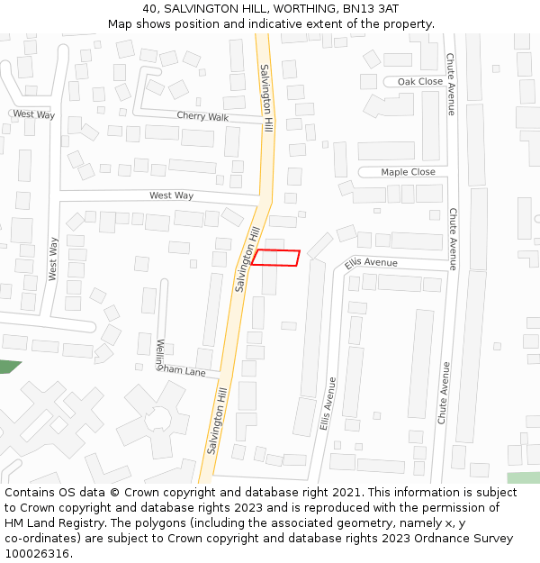 40, SALVINGTON HILL, WORTHING, BN13 3AT: Location map and indicative extent of plot