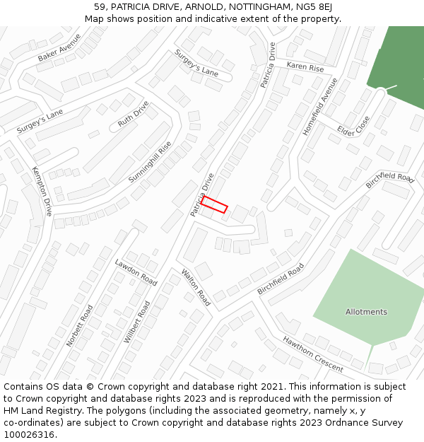 59, PATRICIA DRIVE, ARNOLD, NOTTINGHAM, NG5 8EJ: Location map and indicative extent of plot