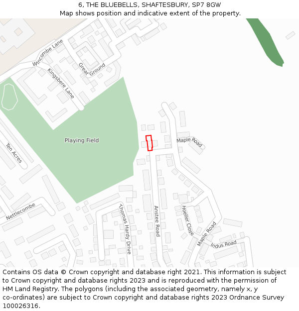 6, THE BLUEBELLS, SHAFTESBURY, SP7 8GW: Location map and indicative extent of plot