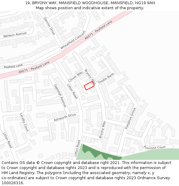 19, BRYONY WAY, MANSFIELD WOODHOUSE, MANSFIELD, NG19 9AN: Location map and indicative extent of plot