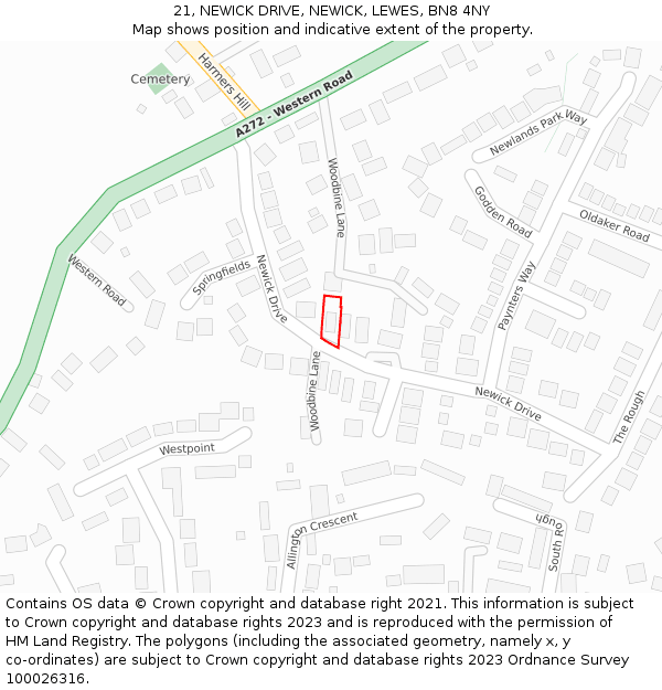 21, NEWICK DRIVE, NEWICK, LEWES, BN8 4NY: Location map and indicative extent of plot