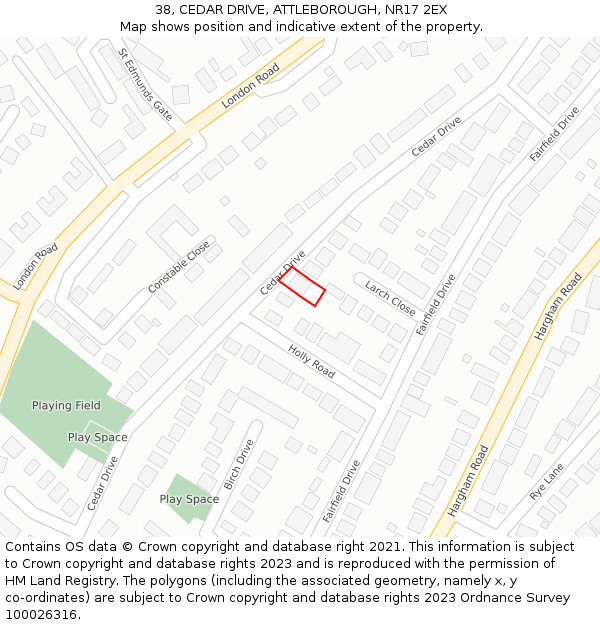 38, CEDAR DRIVE, ATTLEBOROUGH, NR17 2EX: Location map and indicative extent of plot