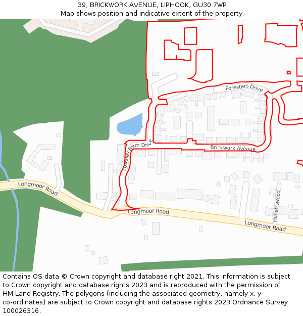 39, BRICKWORK AVENUE, LIPHOOK, GU30 7WP: Location map and indicative extent of plot