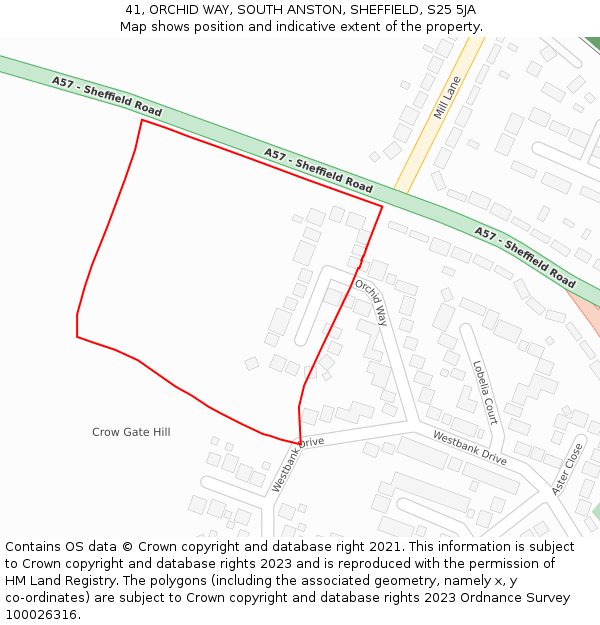 41, ORCHID WAY, SOUTH ANSTON, SHEFFIELD, S25 5JA: Location map and indicative extent of plot