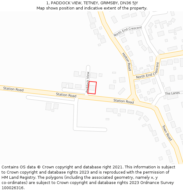 1, PADDOCK VIEW, TETNEY, GRIMSBY, DN36 5JY: Location map and indicative extent of plot