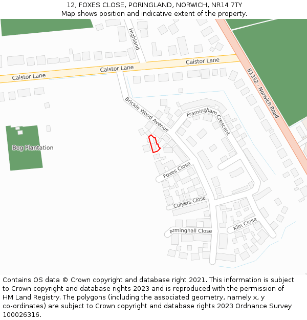 12, FOXES CLOSE, PORINGLAND, NORWICH, NR14 7TY: Location map and indicative extent of plot