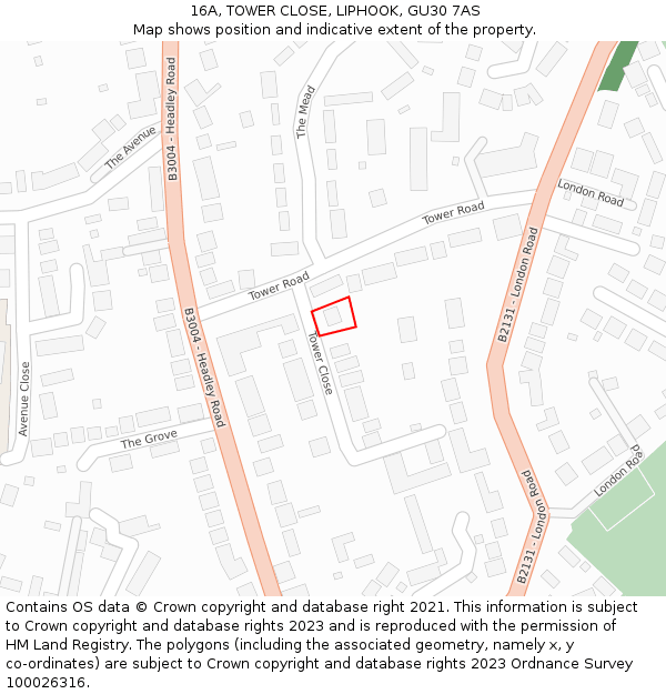 16A, TOWER CLOSE, LIPHOOK, GU30 7AS: Location map and indicative extent of plot