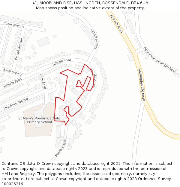 41, MOORLAND RISE, HASLINGDEN, ROSSENDALE, BB4 6UA: Location map and indicative extent of plot