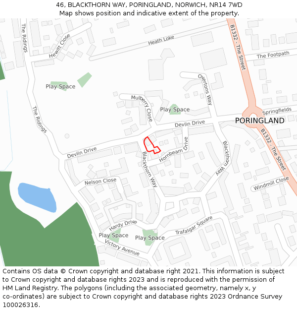 46, BLACKTHORN WAY, PORINGLAND, NORWICH, NR14 7WD: Location map and indicative extent of plot