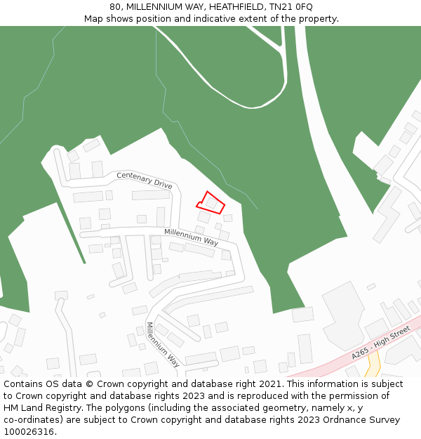 80, MILLENNIUM WAY, HEATHFIELD, TN21 0FQ: Location map and indicative extent of plot