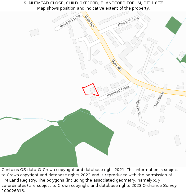 9, NUTMEAD CLOSE, CHILD OKEFORD, BLANDFORD FORUM, DT11 8EZ: Location map and indicative extent of plot