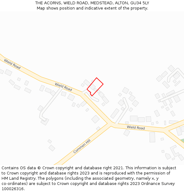 THE ACORNS, WIELD ROAD, MEDSTEAD, ALTON, GU34 5LY: Location map and indicative extent of plot