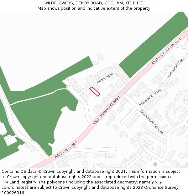 WILDFLOWERS, DENBY ROAD, COBHAM, KT11 1FB: Location map and indicative extent of plot