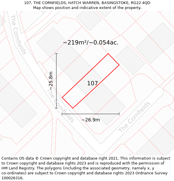 107, THE CORNFIELDS, HATCH WARREN, BASINGSTOKE, RG22 4QD: Plot and title map