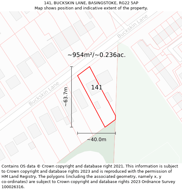 141, BUCKSKIN LANE, BASINGSTOKE, RG22 5AP: Plot and title map