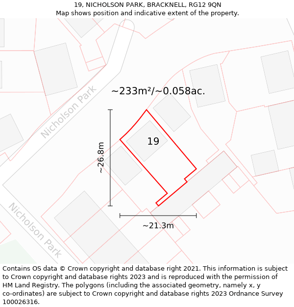 19, NICHOLSON PARK, BRACKNELL, RG12 9QN: Plot and title map