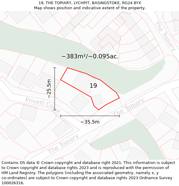19, THE TOPIARY, LYCHPIT, BASINGSTOKE, RG24 8YX: Plot and title map