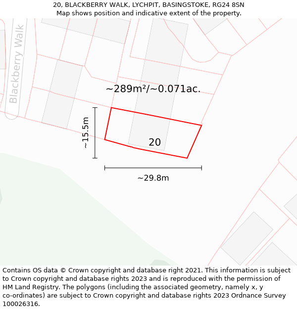 20, BLACKBERRY WALK, LYCHPIT, BASINGSTOKE, RG24 8SN: Plot and title map