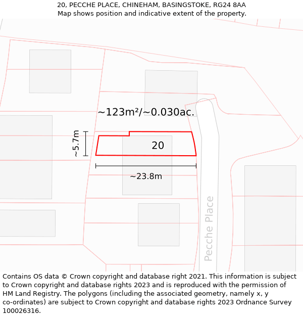 20, PECCHE PLACE, CHINEHAM, BASINGSTOKE, RG24 8AA: Plot and title map