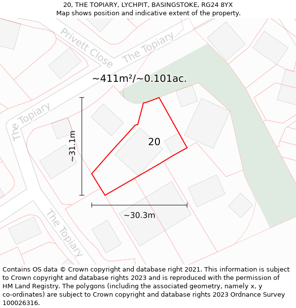 20, THE TOPIARY, LYCHPIT, BASINGSTOKE, RG24 8YX: Plot and title map