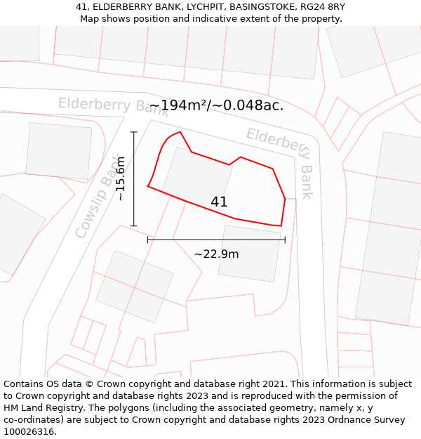 41, ELDERBERRY BANK, LYCHPIT, BASINGSTOKE, RG24 8RY: Plot and title map