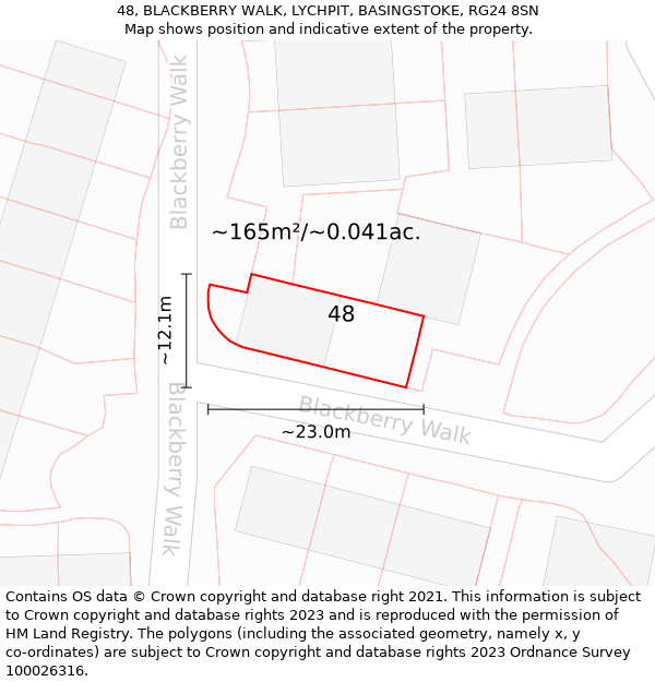 48, BLACKBERRY WALK, LYCHPIT, BASINGSTOKE, RG24 8SN: Plot and title map